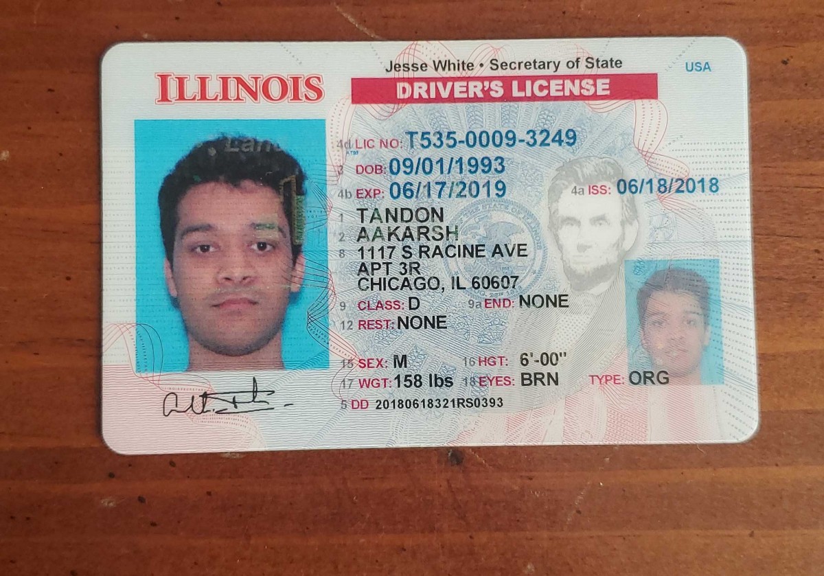 Illinois Driver License
