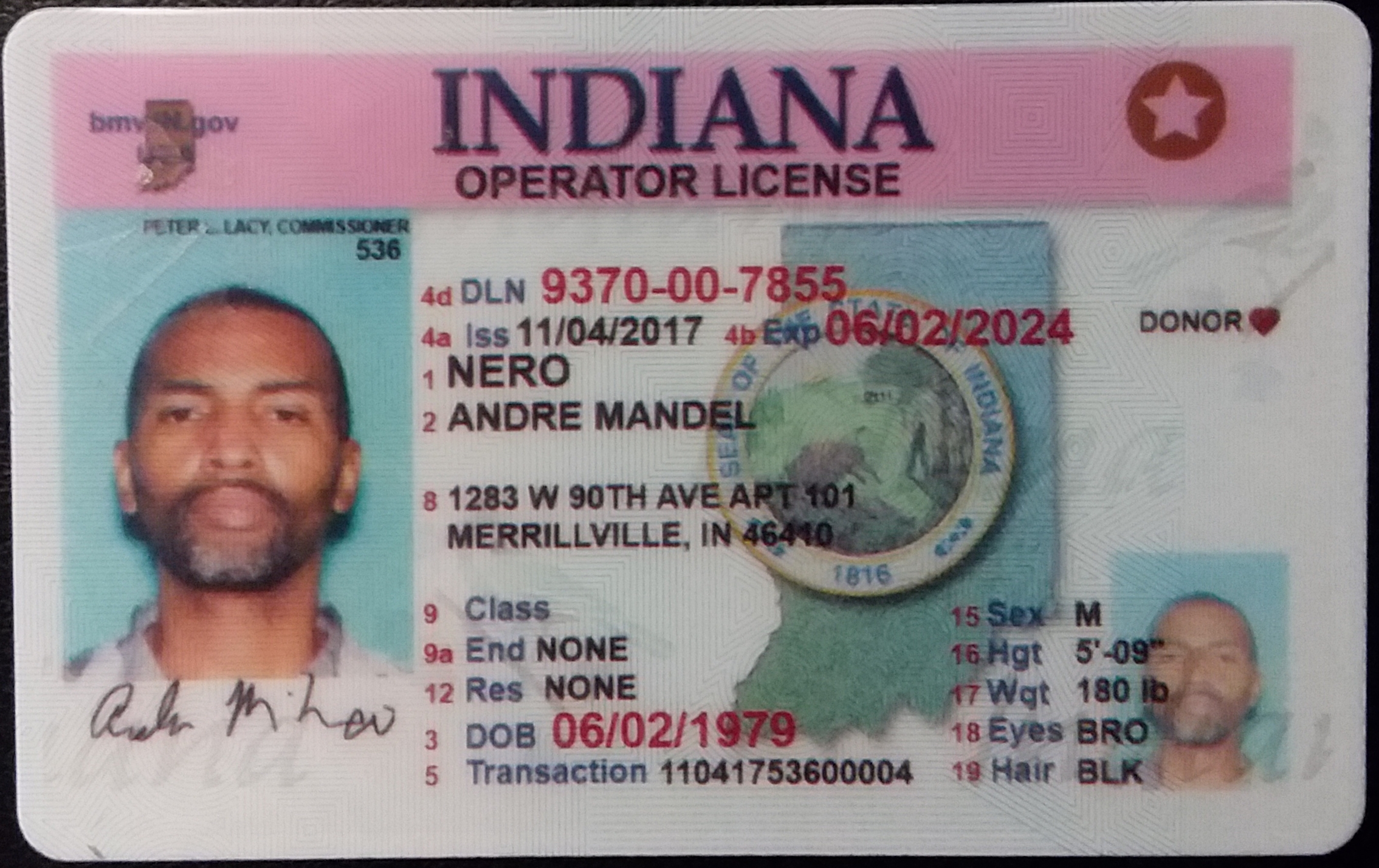 Indiana Driver License