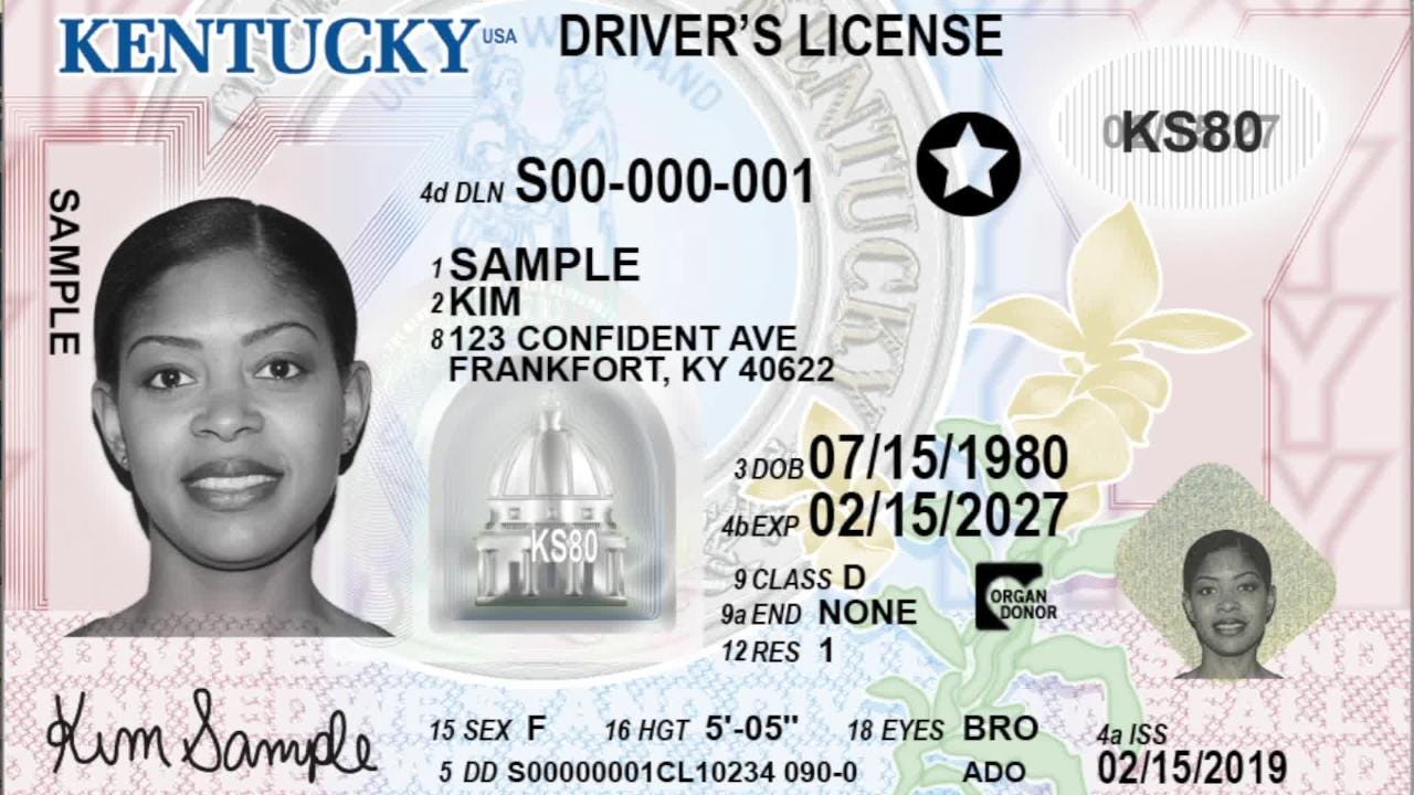 Kentucky Driver License