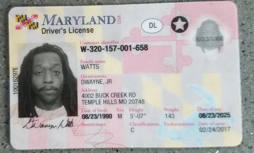 Maryland Driver License