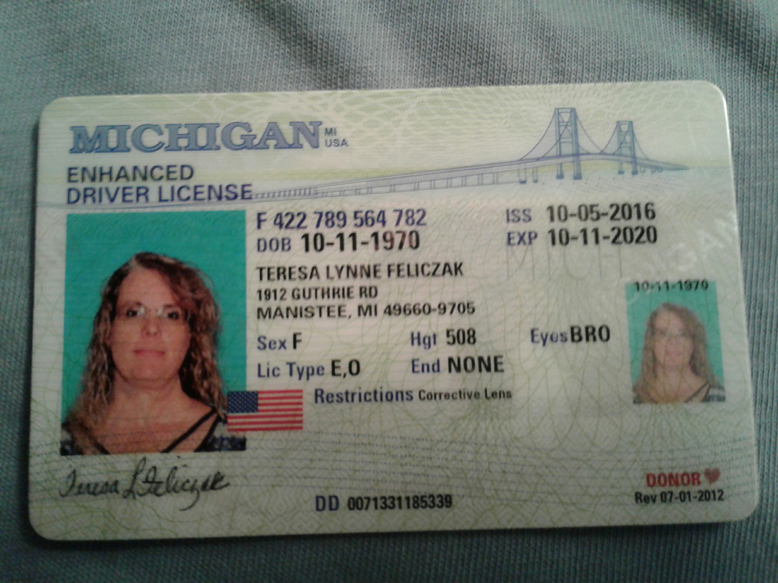 Michigan Driver License