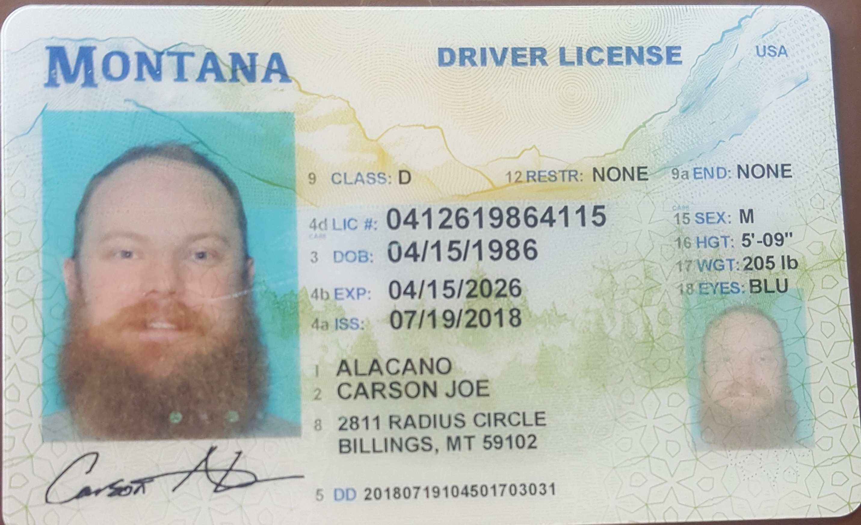 Montana Driver License